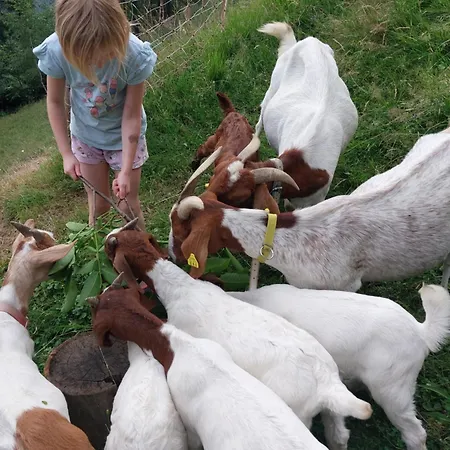 Glamping Apartma Oaza Miru Preddvor