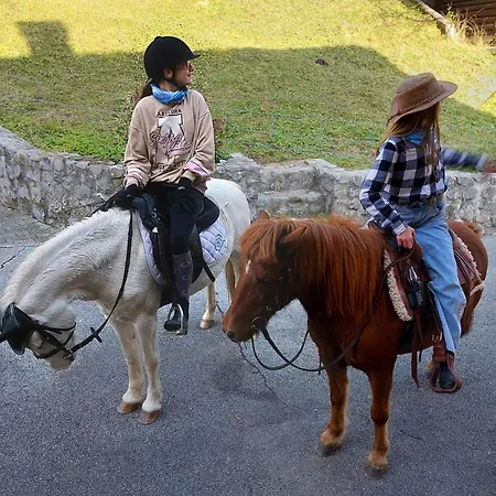 Glamping Apartma Oaza Miru Luxe tent *