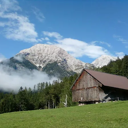 Luksustelt Glamping Apartma Oaza Miru