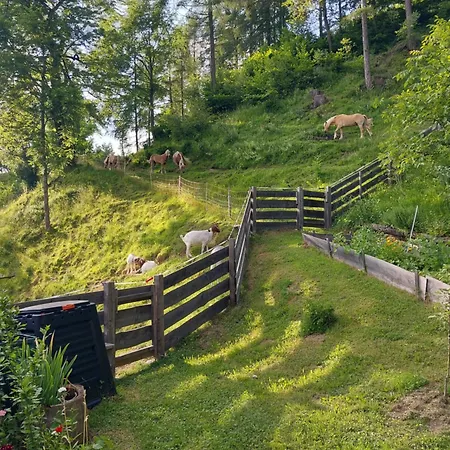 Glamping Apartma Oaza Miru Преддвор