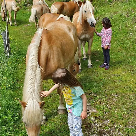 Glamping Apartma Oaza Miru Luxe tent Preddvor