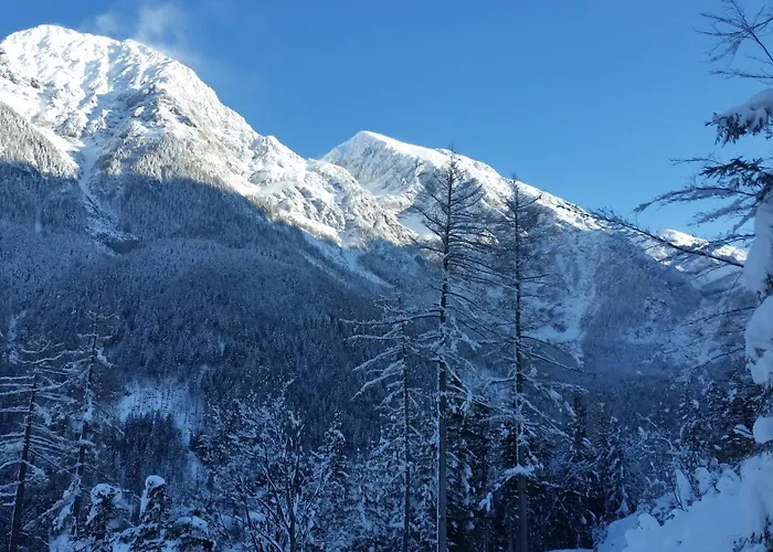 Glamping Apartma Oaza Miru 프레드보르