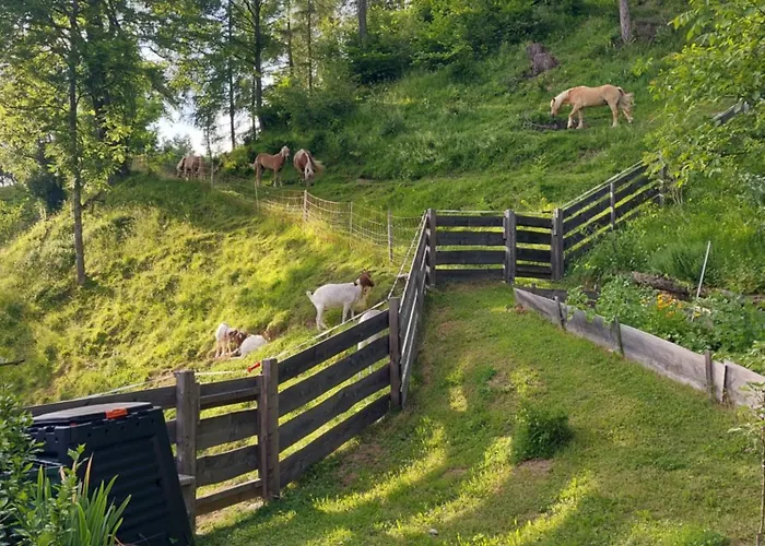 Glamping Apartma Oaza Miru 프레드보르