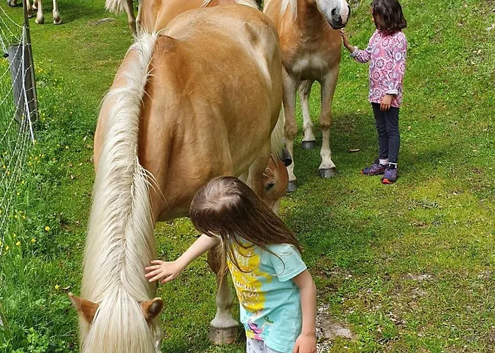 Glamping Apartma Oaza Miru 럭셔리텐트 프레드보르